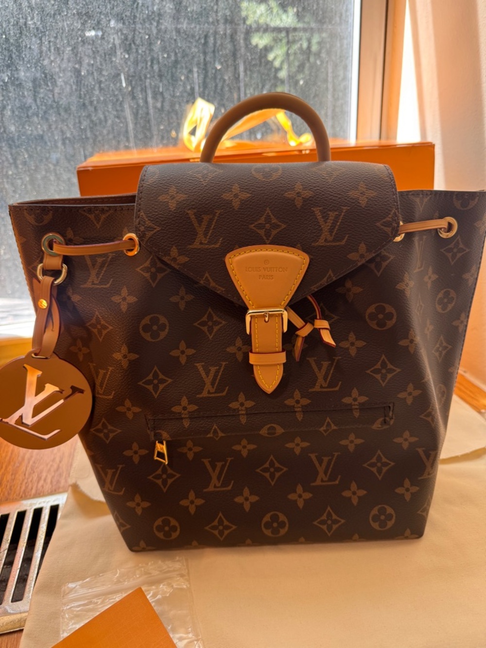 Louis Vuitton Montsouris Backpack - 2022 NEVER! WORN! Grad gift, not my style - Picture 2 of 16